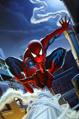 ΦΩΤΟΤΑΠΕΤΣΑΡΙΑ SPIDERMAN ON ROOFTOP KOM P198.jpg