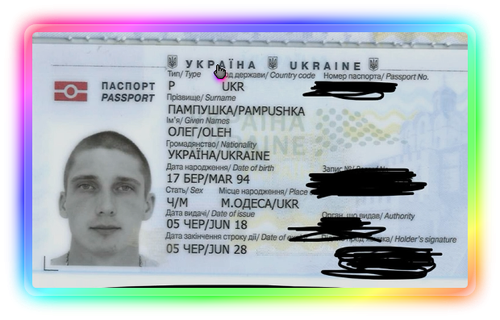 SWS ON TOP CURVO.png