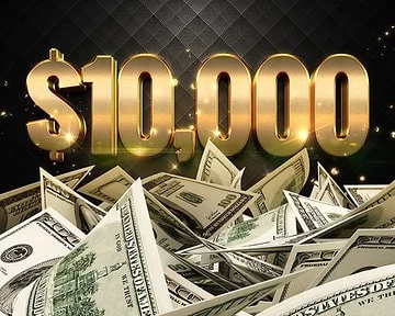 money.webp