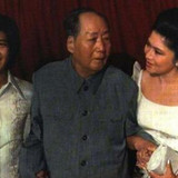 伊梅尔达与小马科斯