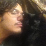 lestat cat 08