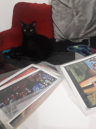 lestat cat 21.jpg