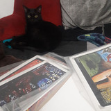 lestat cat 21