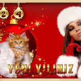 Yeni Yiliniz 2024 2 dsg liebefee