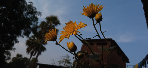 IMG 20231221 154013.jpg