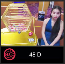 icon 48D.jpg
