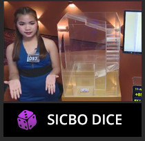 icon SD.jpg