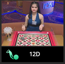 icon 12D.jpg