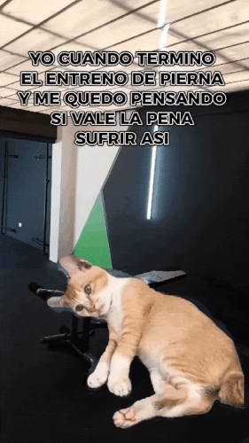 GIF 240424 082545