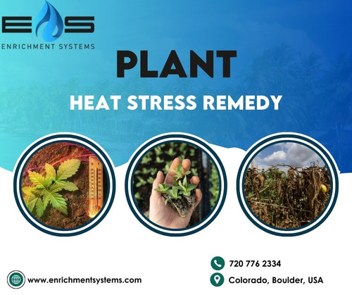 Meet Enrichment Systems for the best plant heat stress remedy. Our team helps plants stay cool and healthy. These remedies provide a protective shield, keeping plant drought treatment safe from extreme temperatures, and ensuring they thrive even when the heat is on. Visit us:https://www.enrichmentsystems.com/plant-benefits/
