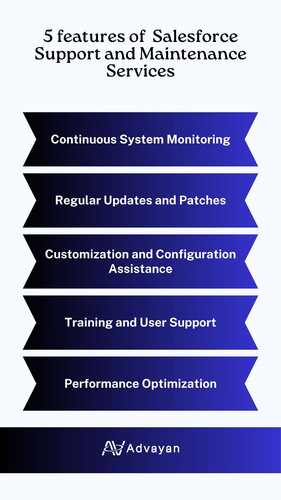 Salesforce Support and Maintenance Services.jpg