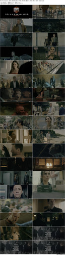 The.Bricklayer.2023.UHD.BluRay.2160p.DTS HD.MA5.1.x265.10bit.DoVi beAst preview.jpg