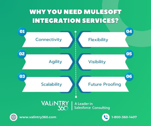 Why you Need MuleSoft Integration Services.jpg