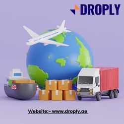 Droply: Your Trusted Partner for Swift International Delivery!.jpg
