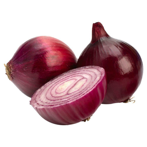 Top Largest Onion Exporter in Andhra Pradesh India.jpg
