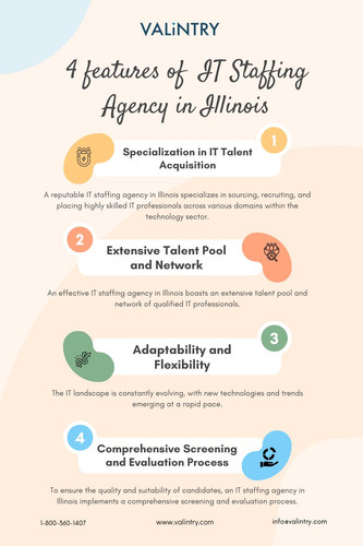 IT Staffing Agency in Illinois.jpg
