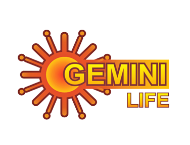 Gemini Life.png