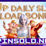 The Thrilling World of Spinsold