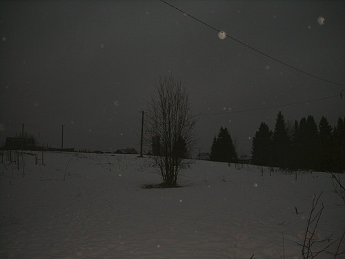 DSCN2328 1 1.jpg