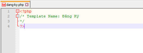 tu code trang dang ky thanh vien tren wordpress caodem2.jpg