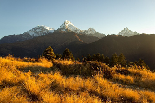Ghorepani ghandrunk trek 23.jpg