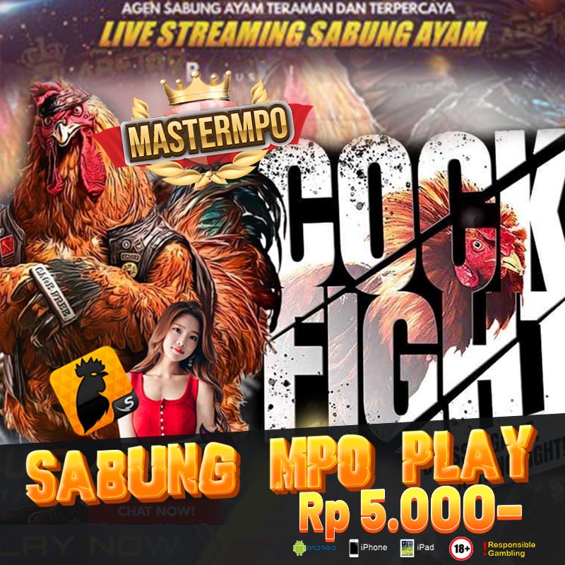 Mastermpo : Jadwal Lengkap Ayam Sabung Mpo Online 24 Jam
