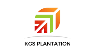 KGS PLANTATION