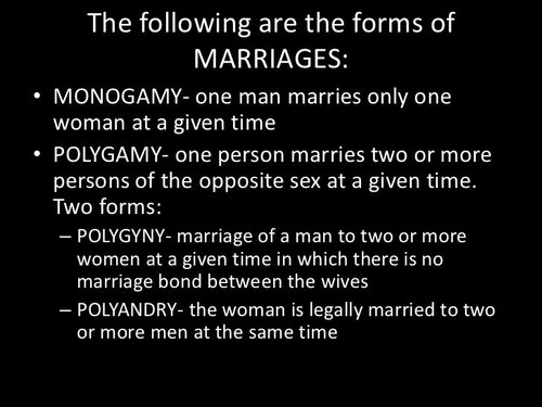 family society 12 728.jpg