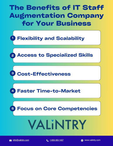 The Benefits of IT Staff Augmentation Company for Your Business.jpg