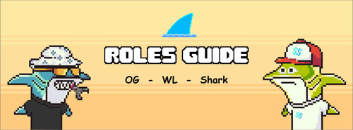 ROLES GUIDE