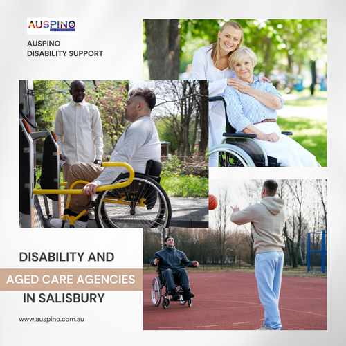 The certified healthcare professional of Auspino is the most prominent Disability and Aged Care Agencies in Salisbury. They offer extensive and holistic support solutions for disabled individuals, especially seniors. In the process, these professionals bring forth end-to-end services to enhance the adaptability and mobility of disabled aged persons through the usage of walking frames and wheelchairs. Visit us : 
https://www.auspino.com.au/services/aged-care-support/