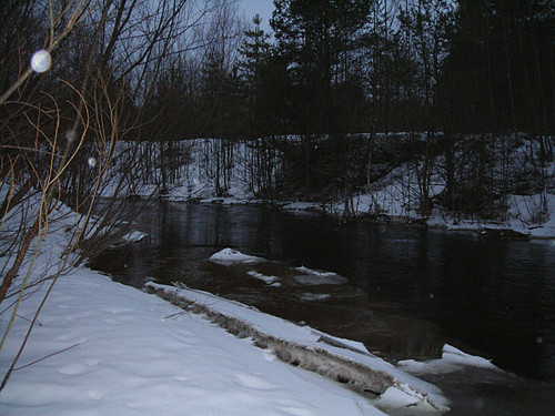 DSCN2319 1 1.jpg
