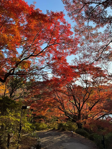 c142d57a 40b1 494d 9527 12166f8bc48d.jpg