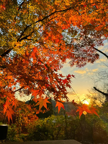 7679752e 7573 45c0 af31 91eab137c65a.jpg