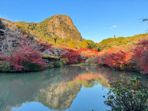 34e36181 6bca 4228 8a8d 878caa2cbaa5.jpg