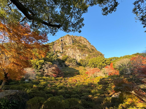 e722adf8 9543 4a01 a97c 12db50a221fd.jpg