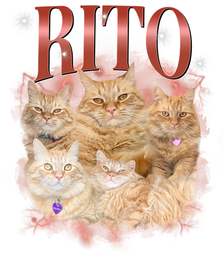 3129413924 RITO 1.png