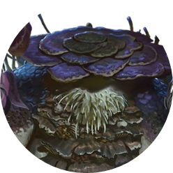 opera f4ORvzC7UK.png