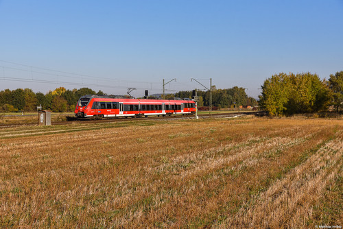 DSC 0261C.jpg