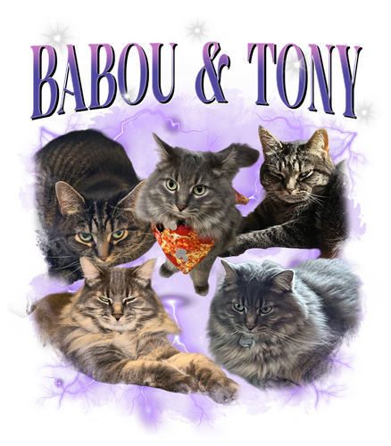 Babou & Tony.png