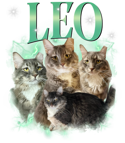 3121322409 Leo.png