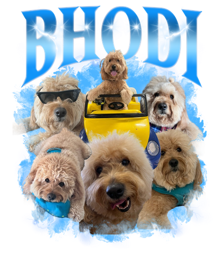 Bhodi.png