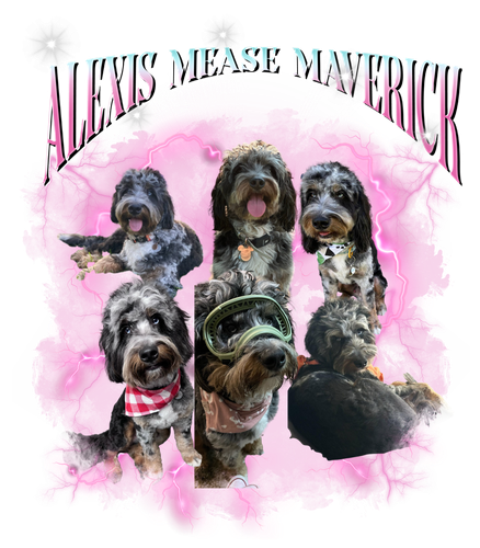 alexis mease maverick.png