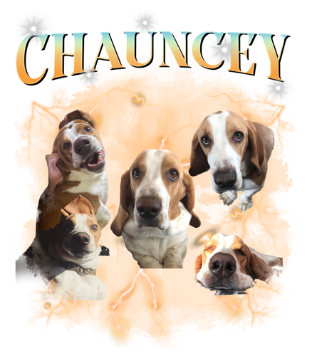 chauncey.png