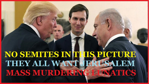 MASS MURDERING LUNATICS.jpg