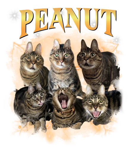 peanut.png