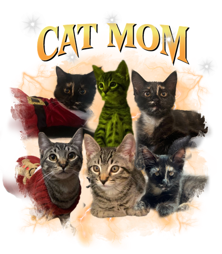 cat mom.png