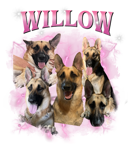 willow.png