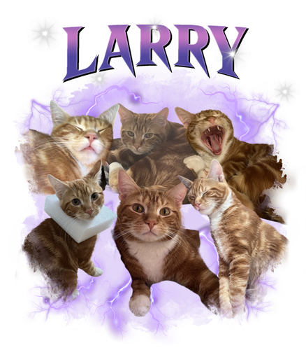 larry.png