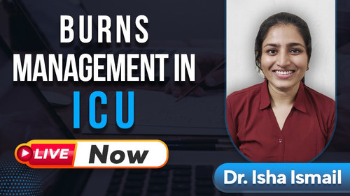 WhatsApp Image 2023 12 07 at 11.55.54 AM.jpg